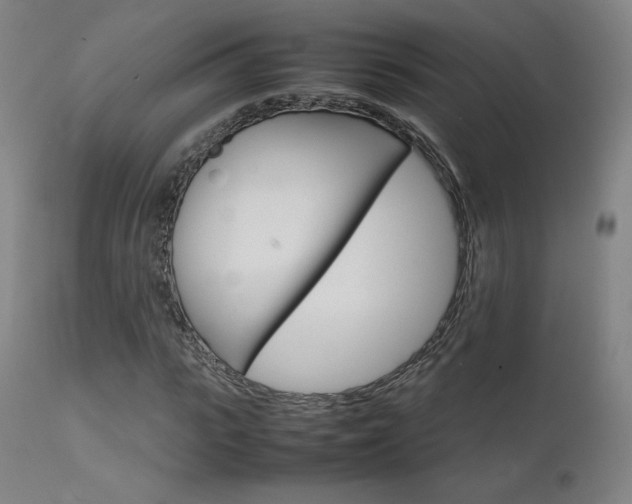 X0000111630919200907171124