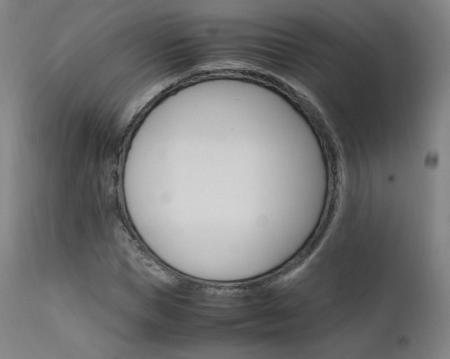 X0000111630921200907171125