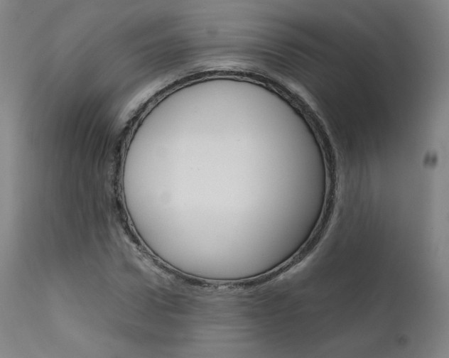 X0000111630922200907171125