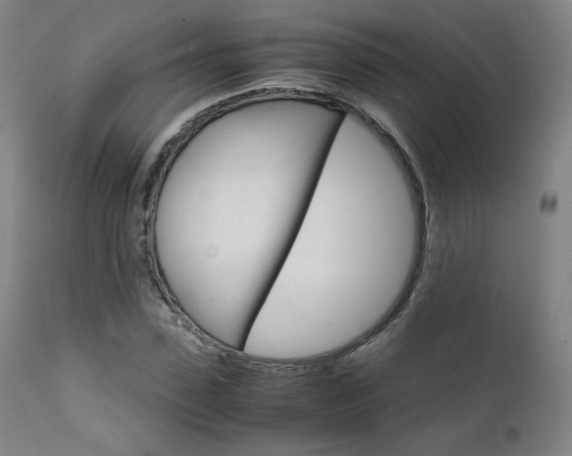 X0000111630923200907171125