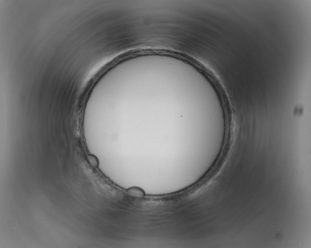 X0000111630925200907171125