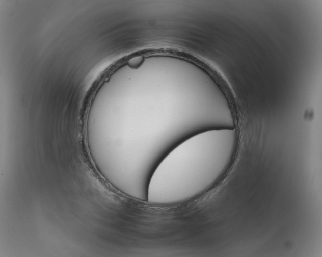 X0000111630927200907171125