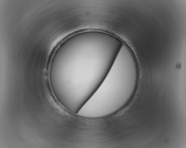 X0000111630928200907171125