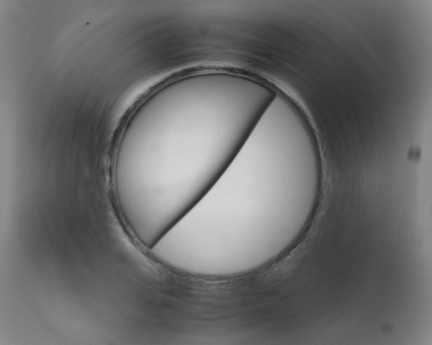 X0000111630935200907171125