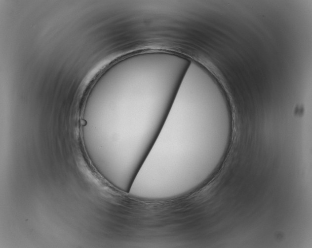 X0000111630939200907171125
