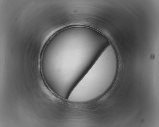 X0000111630940200907171125