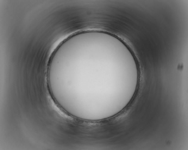 X0000111630941200907171125