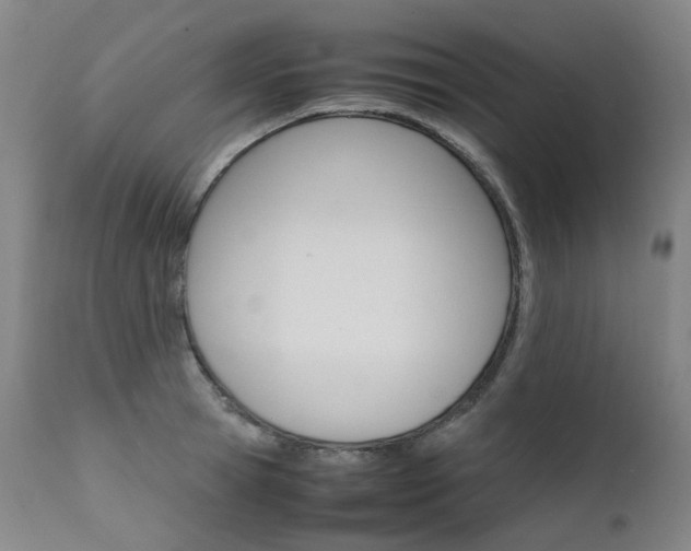 X0000111630945200907171125