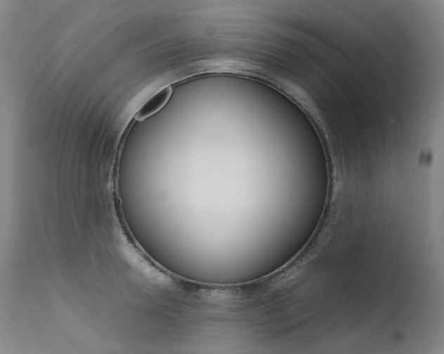 X0000111630946200907171125