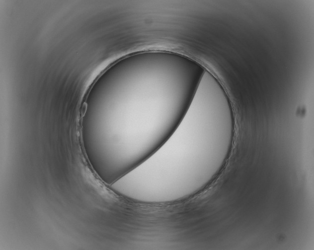 X0000111630948200907171125