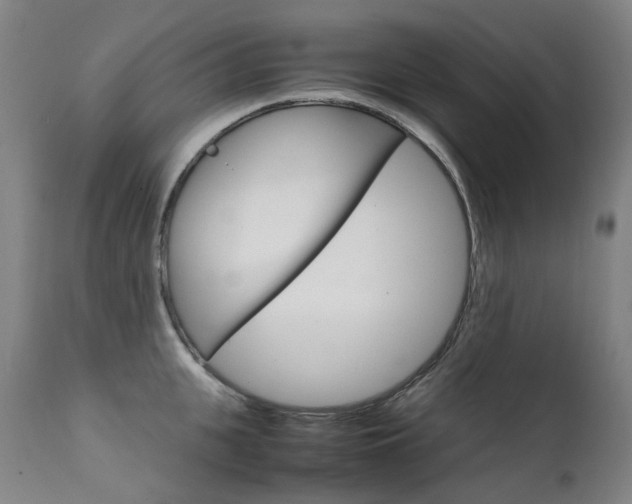X0000111630951200907171125