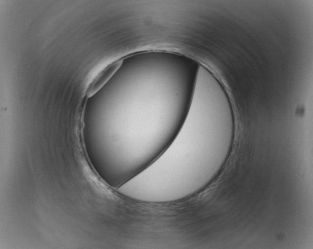 X0000111630952200907171125