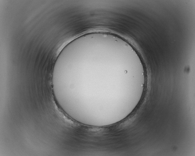 X0000111630953200907171125