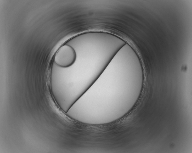 X0000111630955200907171125