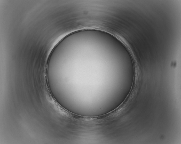 X0000111630956200907171125