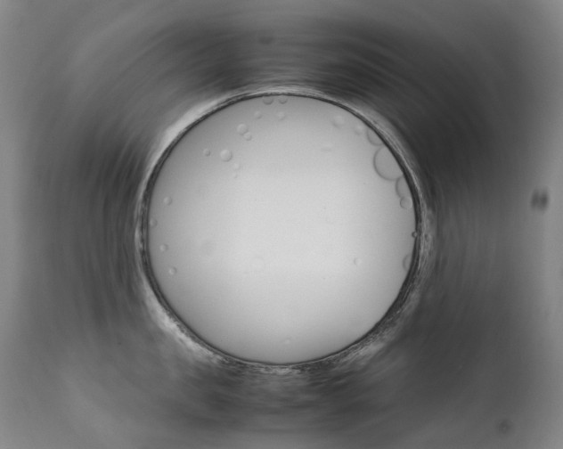 X0000111630957200907171125