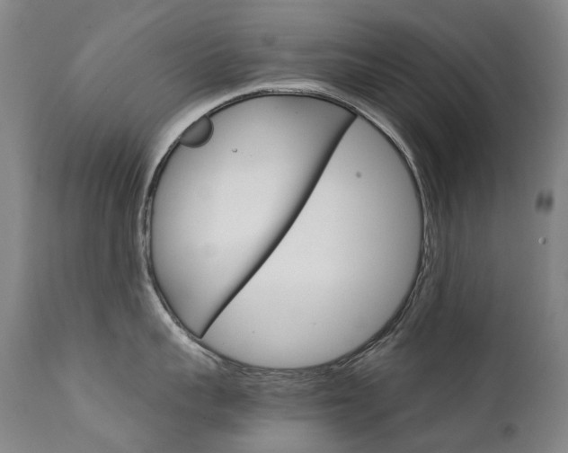 X0000111630959200907171125