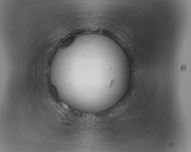 X0000111630961200907171124