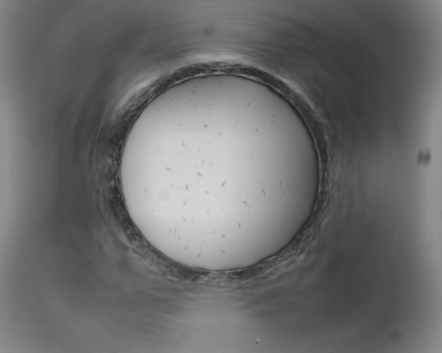 X0000111630967200907171124