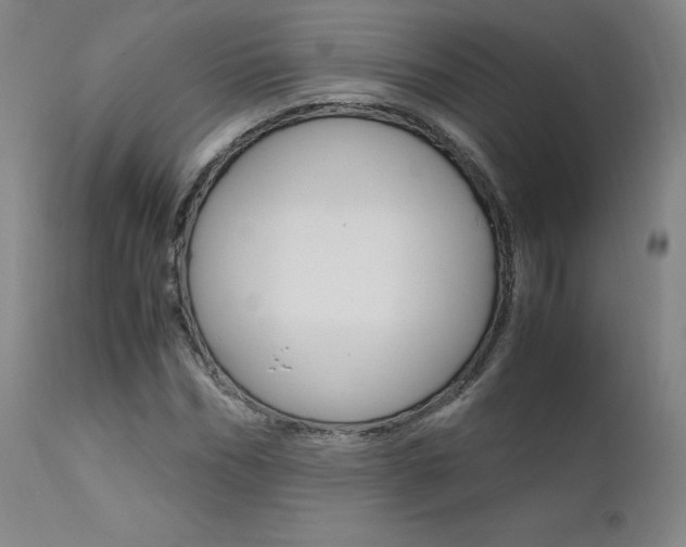 X0000111630970200907171124