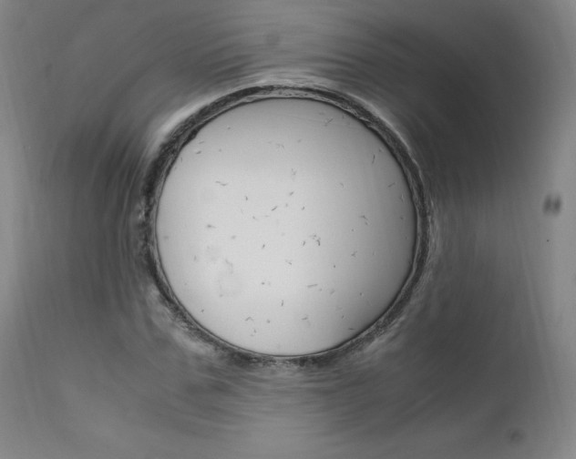 X0000111630971200907171124