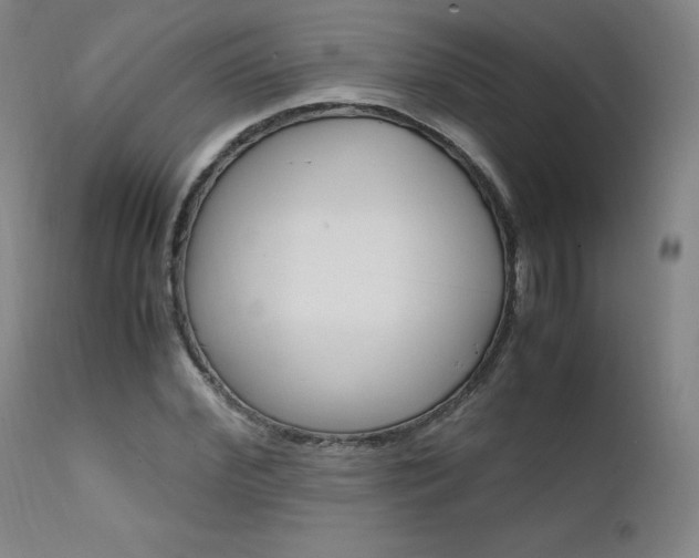 X0000111630972200907171124