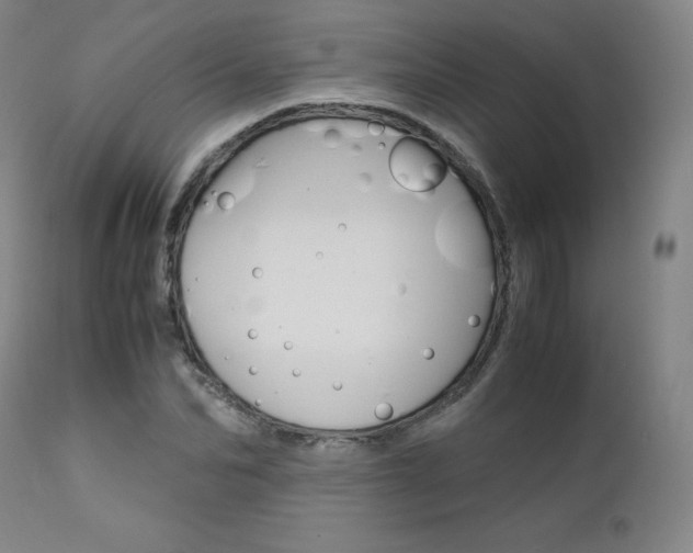 X0000111630974200907171124