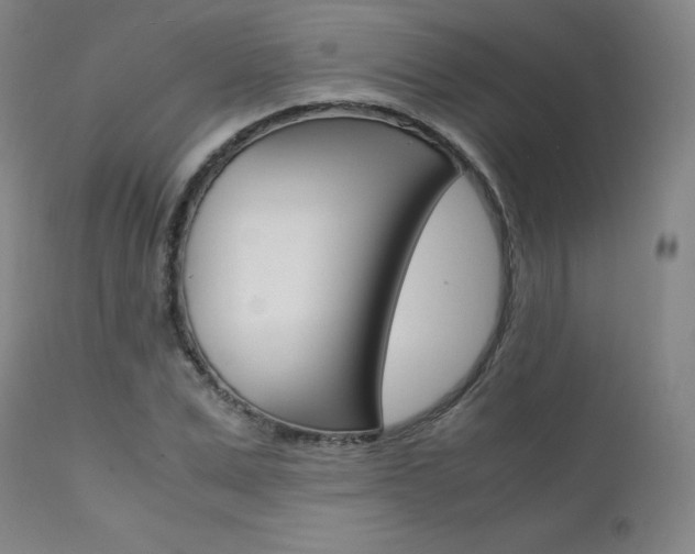 X0000111630975200907171124