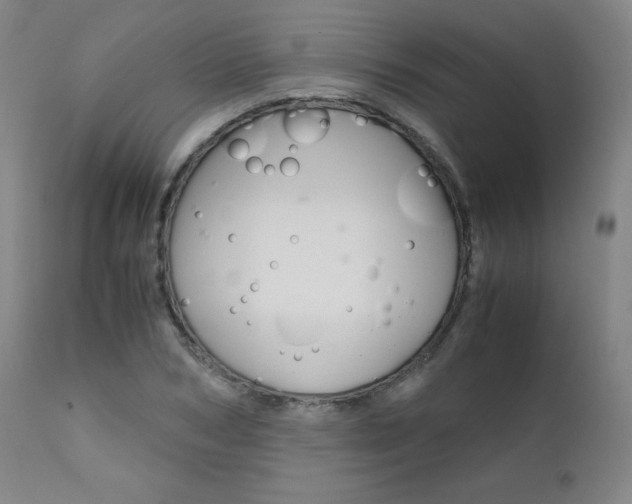 X0000111630978200907171124