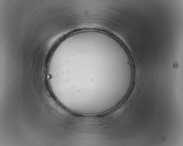 X0000111630979200907171124