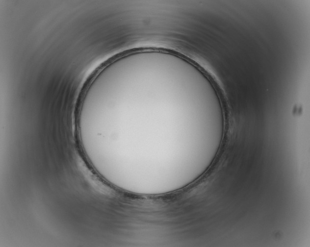 X0000111630980200907171124