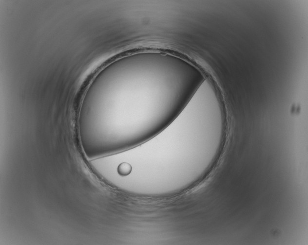 X0000111630981200907171124