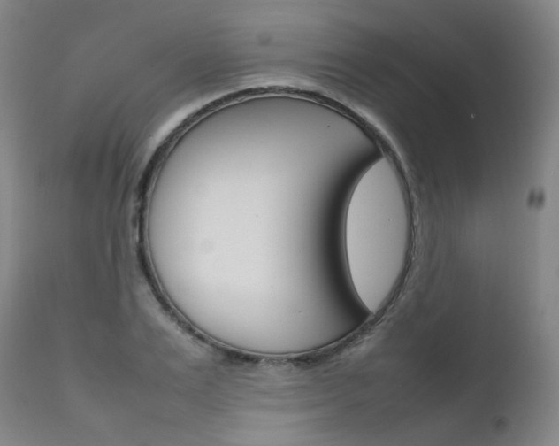 X0000111630983200907171124