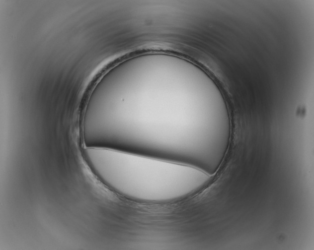 X0000111630984200907171124