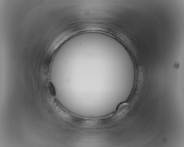 X0000111630985200907171124