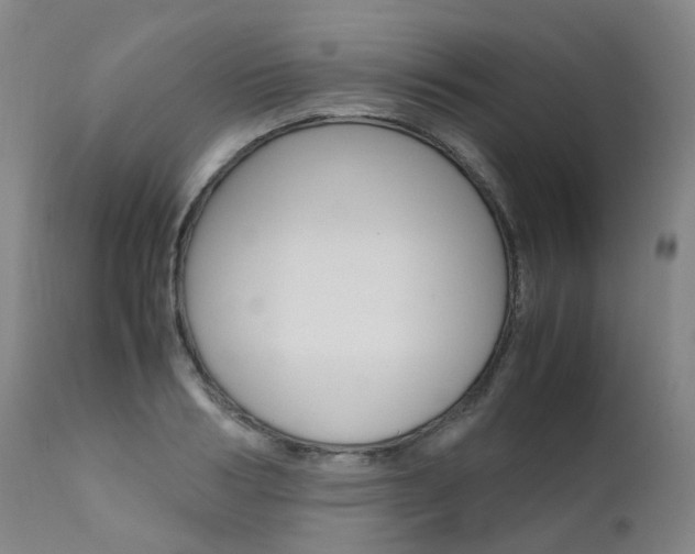 X0000111630986200907171124