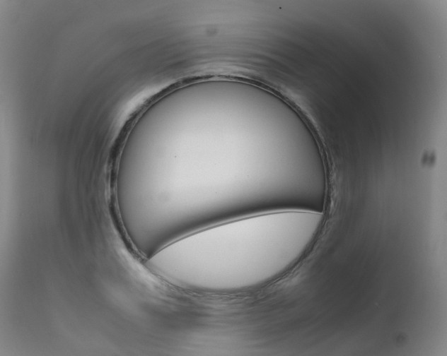 X0000111630987200907171124