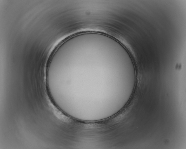 X0000111630988200907171124