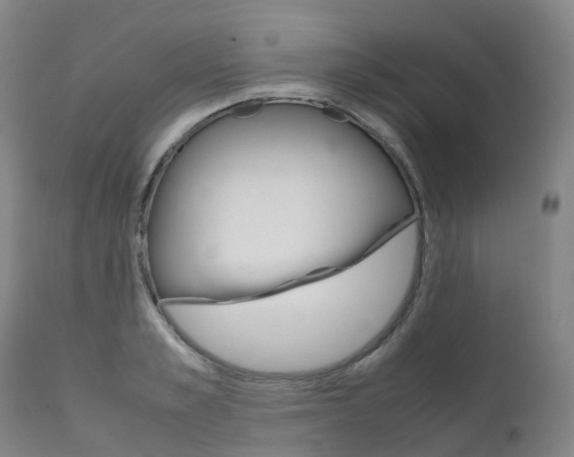 X0000111630989200907171124