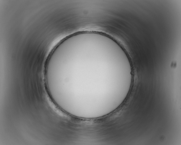 X0000111630990200907171124