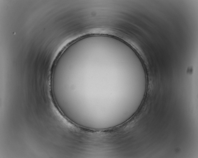 X0000111630992200907171124
