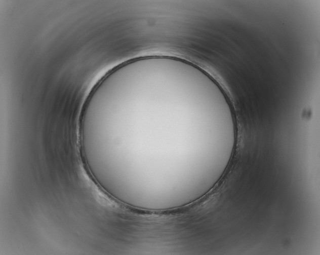 X0000111630996200907171124