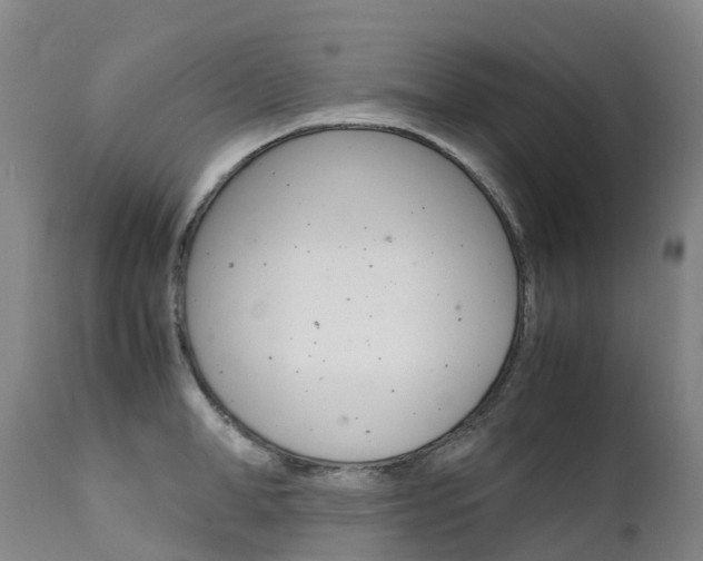 X0000111630998200907171124