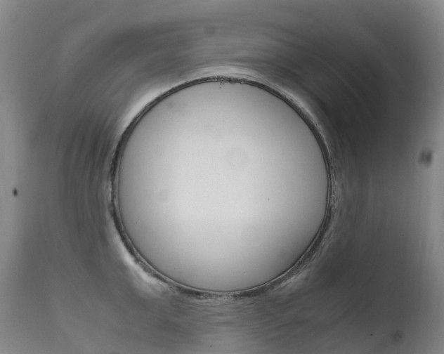 X0000111630999200907171124
