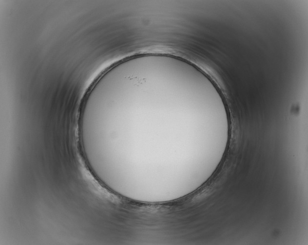 X0000111631000200907171124