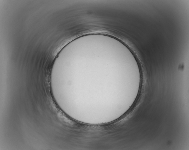 X0000111631001200907171124