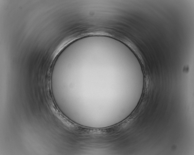 X0000111631002200907171124