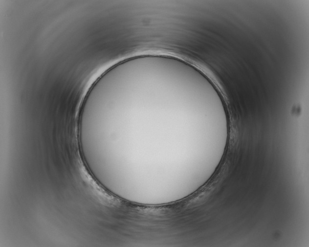 X0000111631004200907171124