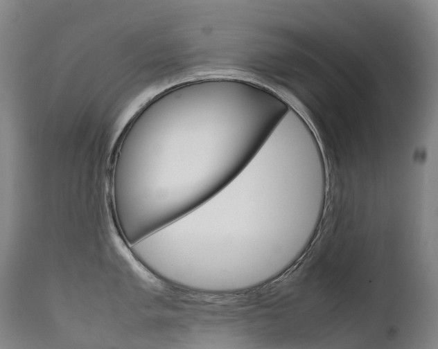 X0000111631005200907171124