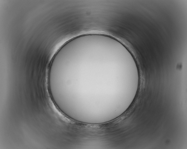 X0000111631006200907171124